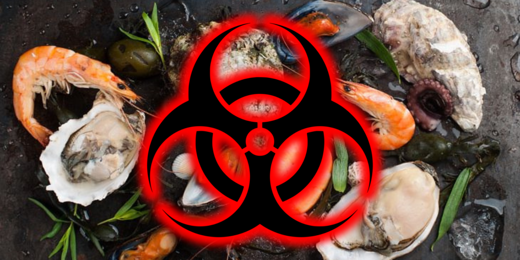 ¡Mariscos contaminados en San Luis Potosí!