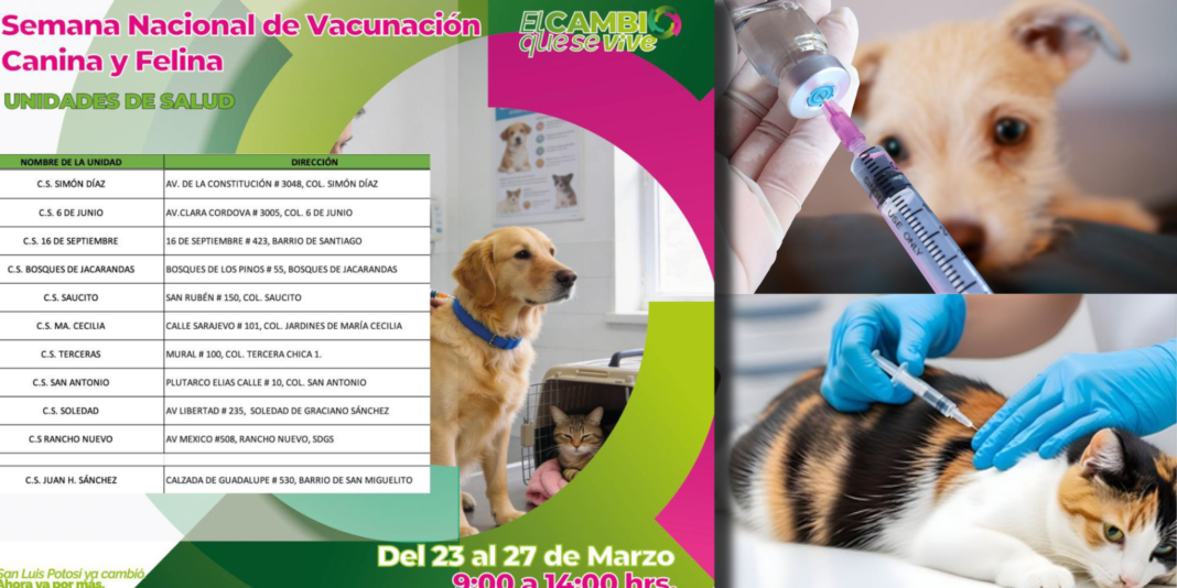 ¿Tienes mascotas? Llévalos por su vacuna antirrábica