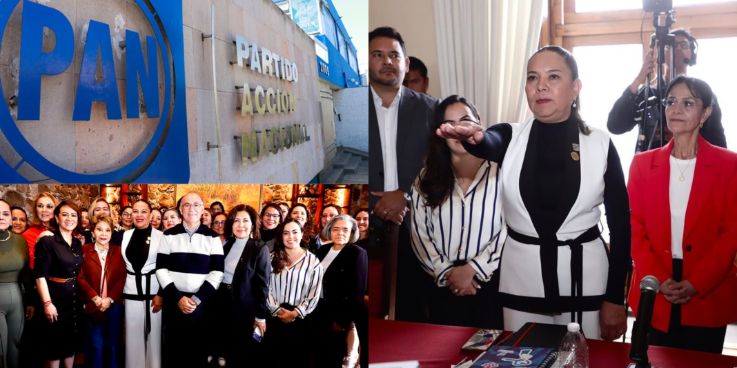 PAN SLP respalda nombramiento de Ángeles Rodríguez